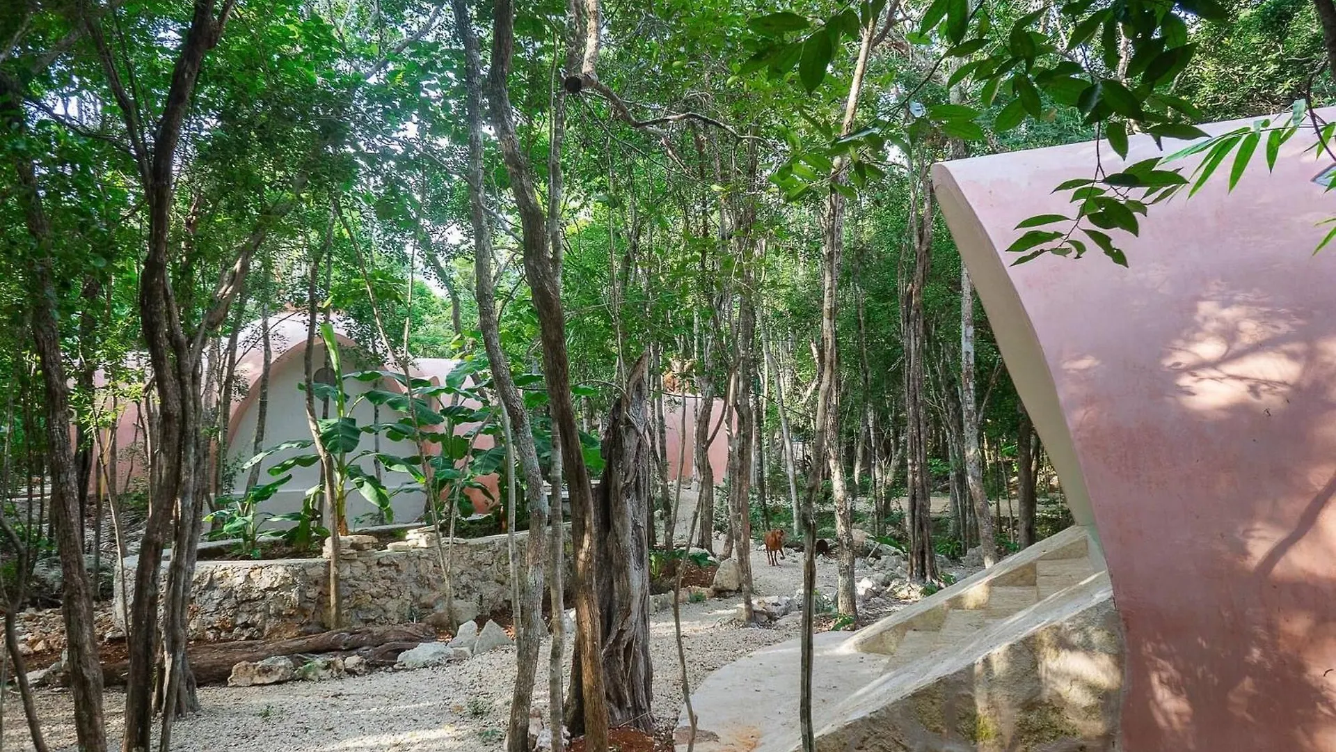 Unique Jungle Dome 2 Queen Beds تولوم