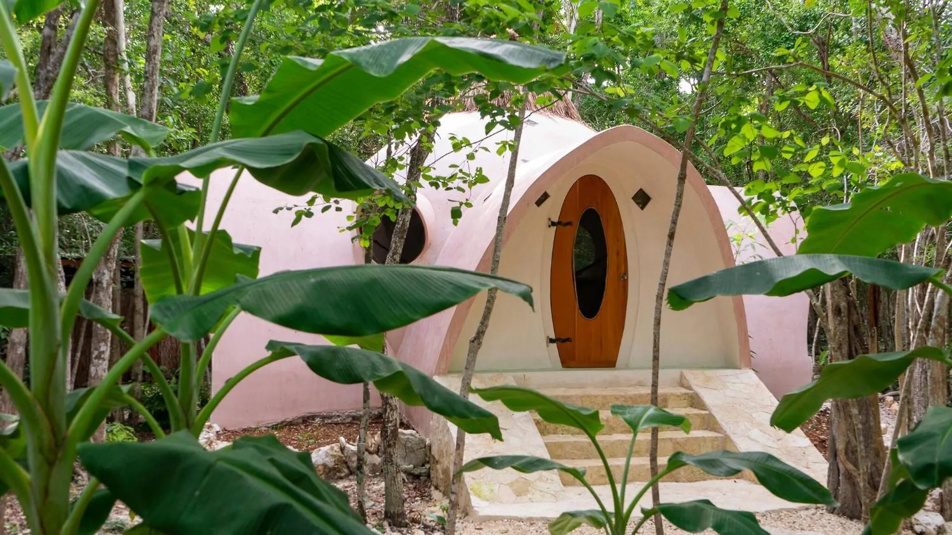 اتصالات Unique Jungle Dome 2 Queen Beds 